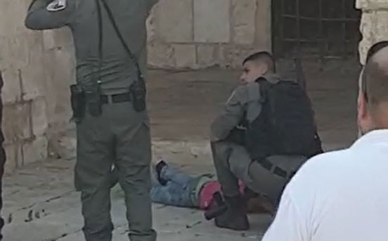 ניסיון פיגוע, ארכיון