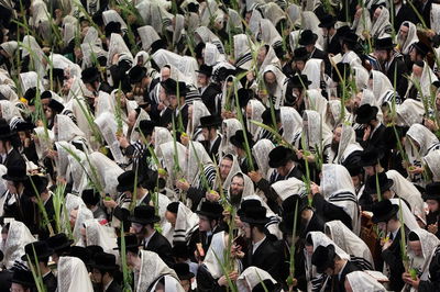 חביטת ערבות, תפילת הצל והקפות • מנהגי הושענא רבה