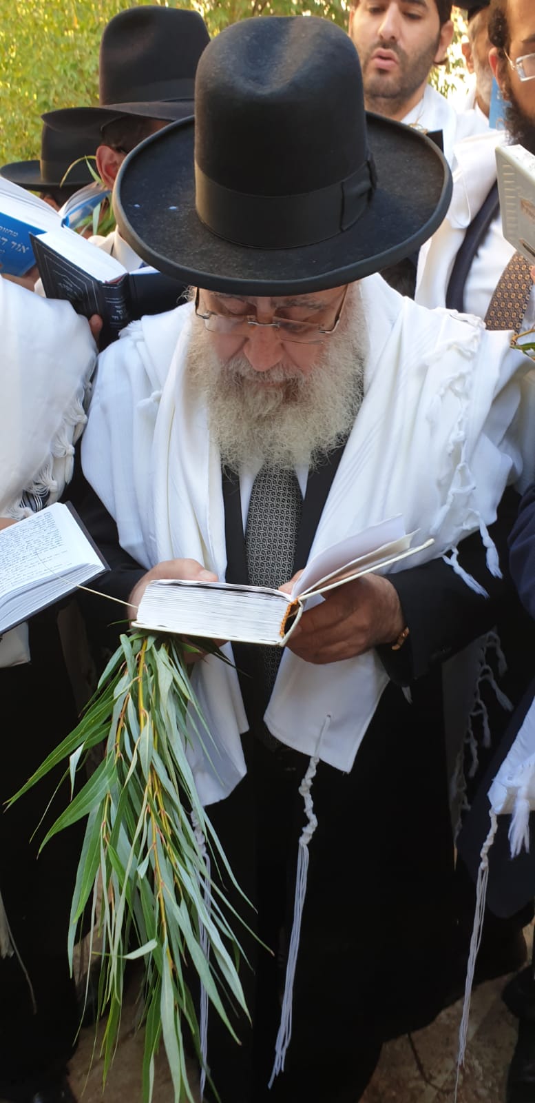 חבטת הערבה ו'נשמת' עם הראשון לציון הגר"י יוסף