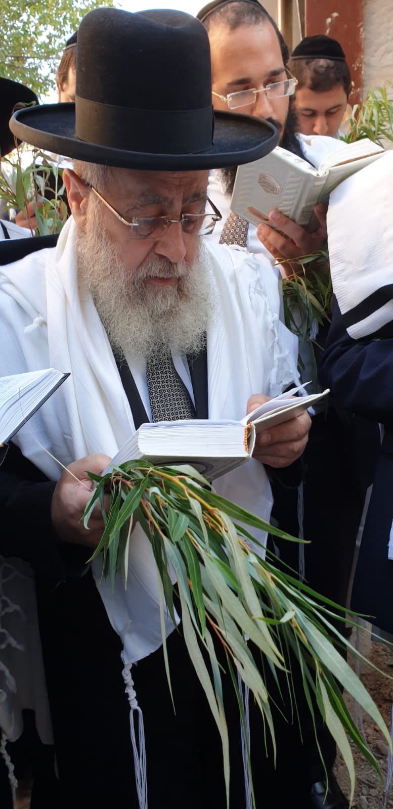 חבטת הערבה ו'נשמת' עם הראשון לציון הגר"י יוסף