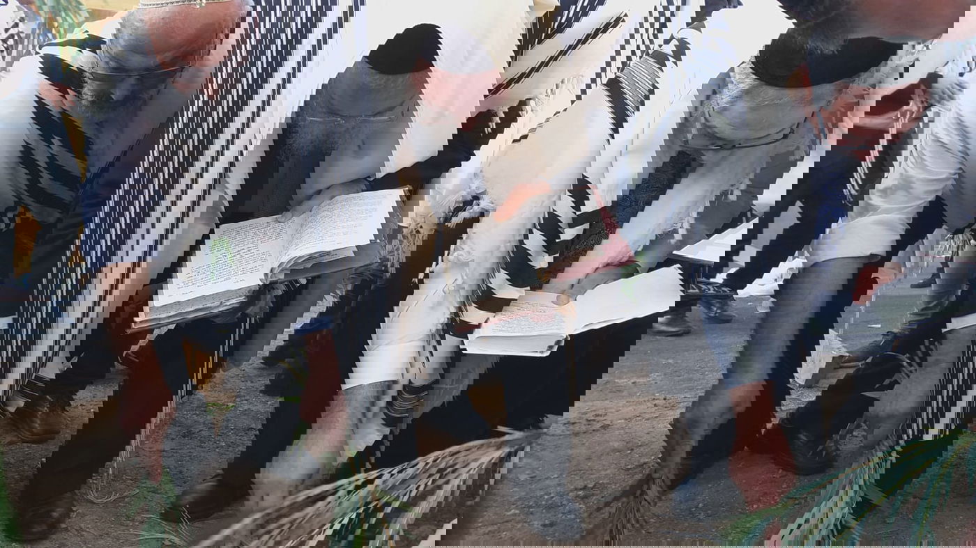 ההקפות והחבטות של הראשל"צ הגר"ש עמאר