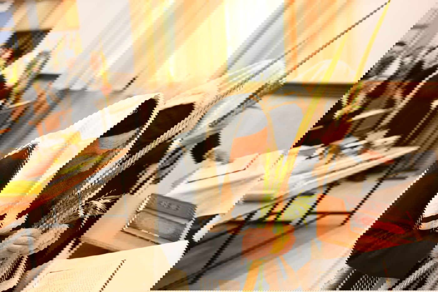 הושענא רבה בהיכל ישיבת סלבודקא • תיעוד