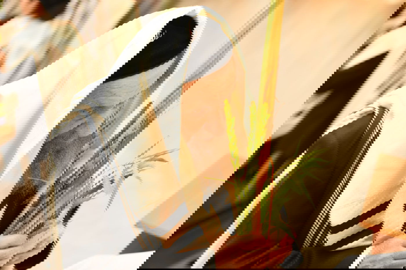 הושענא רבה בהיכל ישיבת סלבודקא • תיעוד