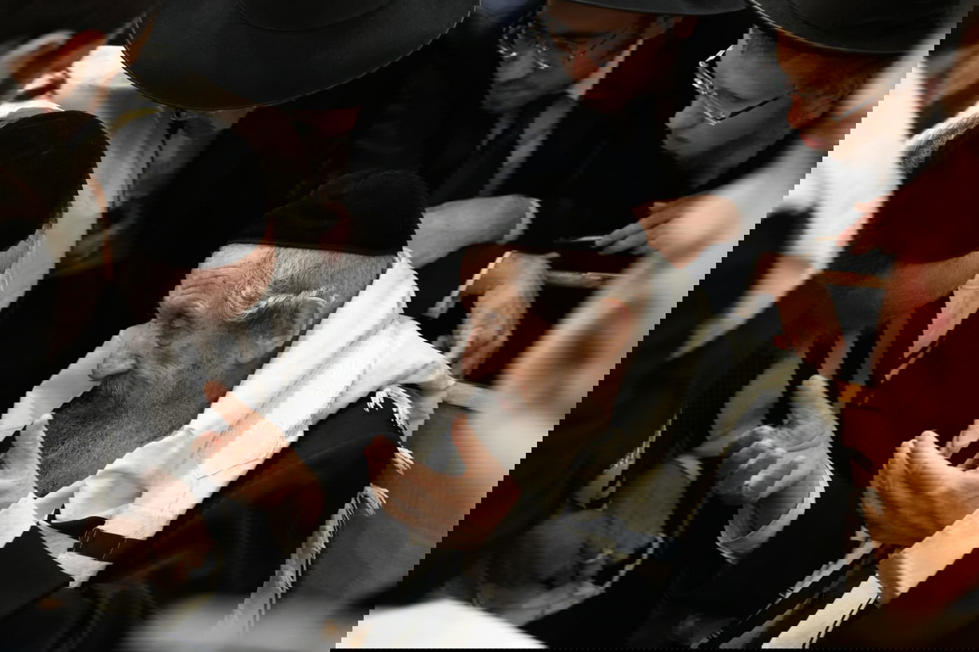 הושענא רבה בהיכל ישיבת סלבודקא • תיעוד