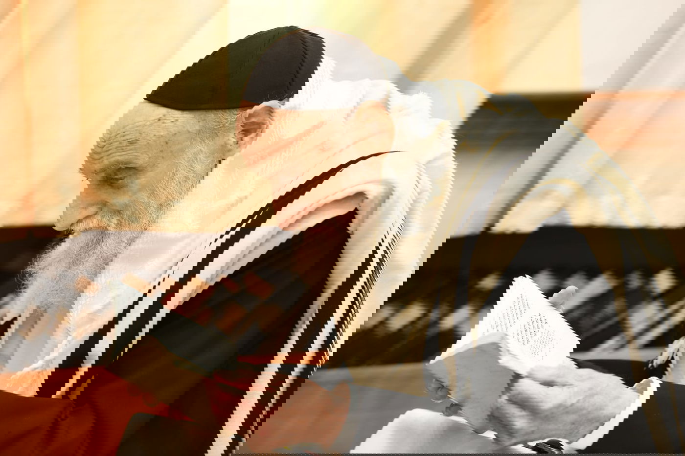 הושענא רבה בהיכל ישיבת סלבודקא • תיעוד