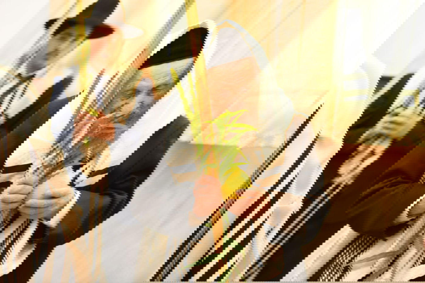 הושענא רבה בהיכל ישיבת סלבודקא • תיעוד