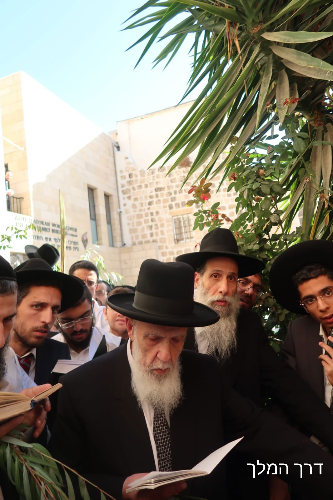 נשיא המועצת בהקפות ב'הושענא רבה'. צפו