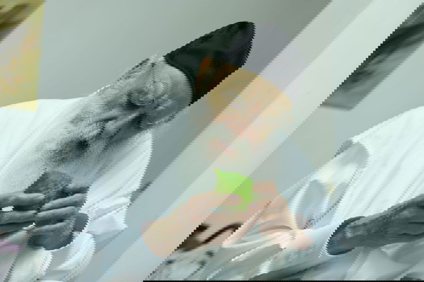 לימוד במיטה: הגאון רבי מאיר גריינמן בהושענא רבא