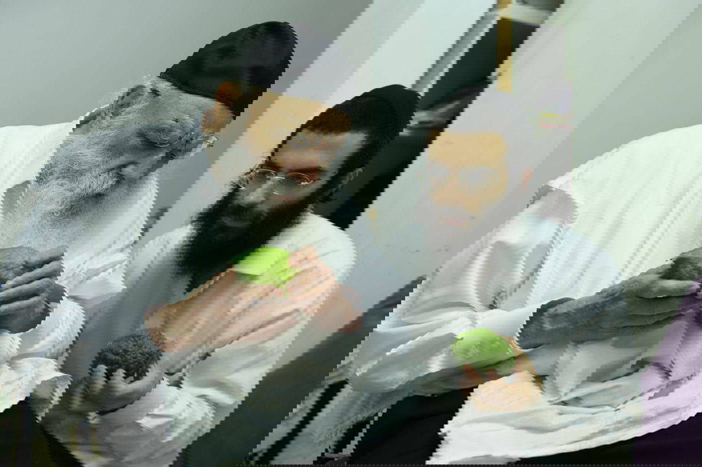 לימוד במיטה: הגאון רבי מאיר גריינמן בהושענא רבא