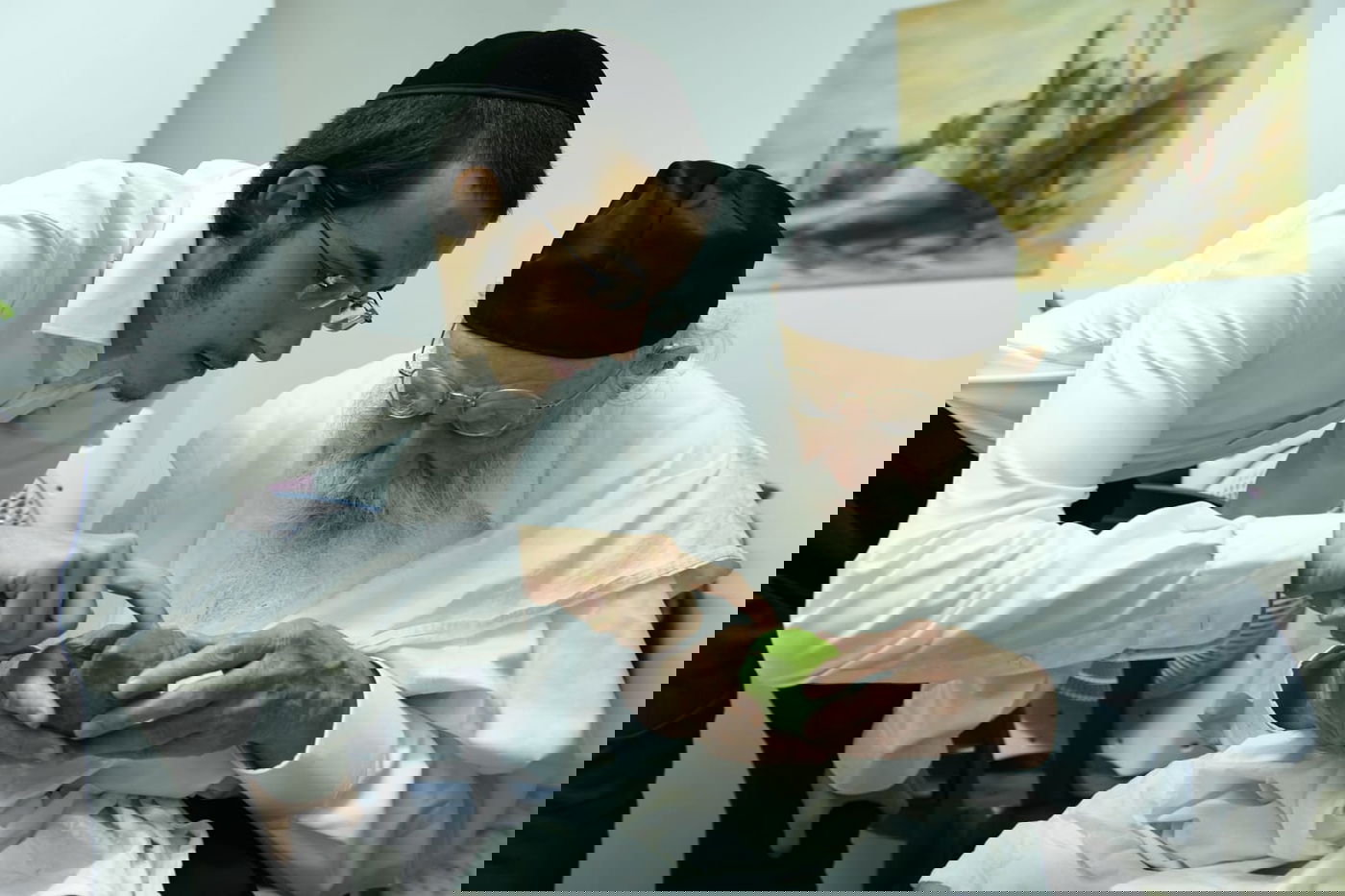 לימוד במיטה: הגאון רבי מאיר גריינמן בהושענא רבא