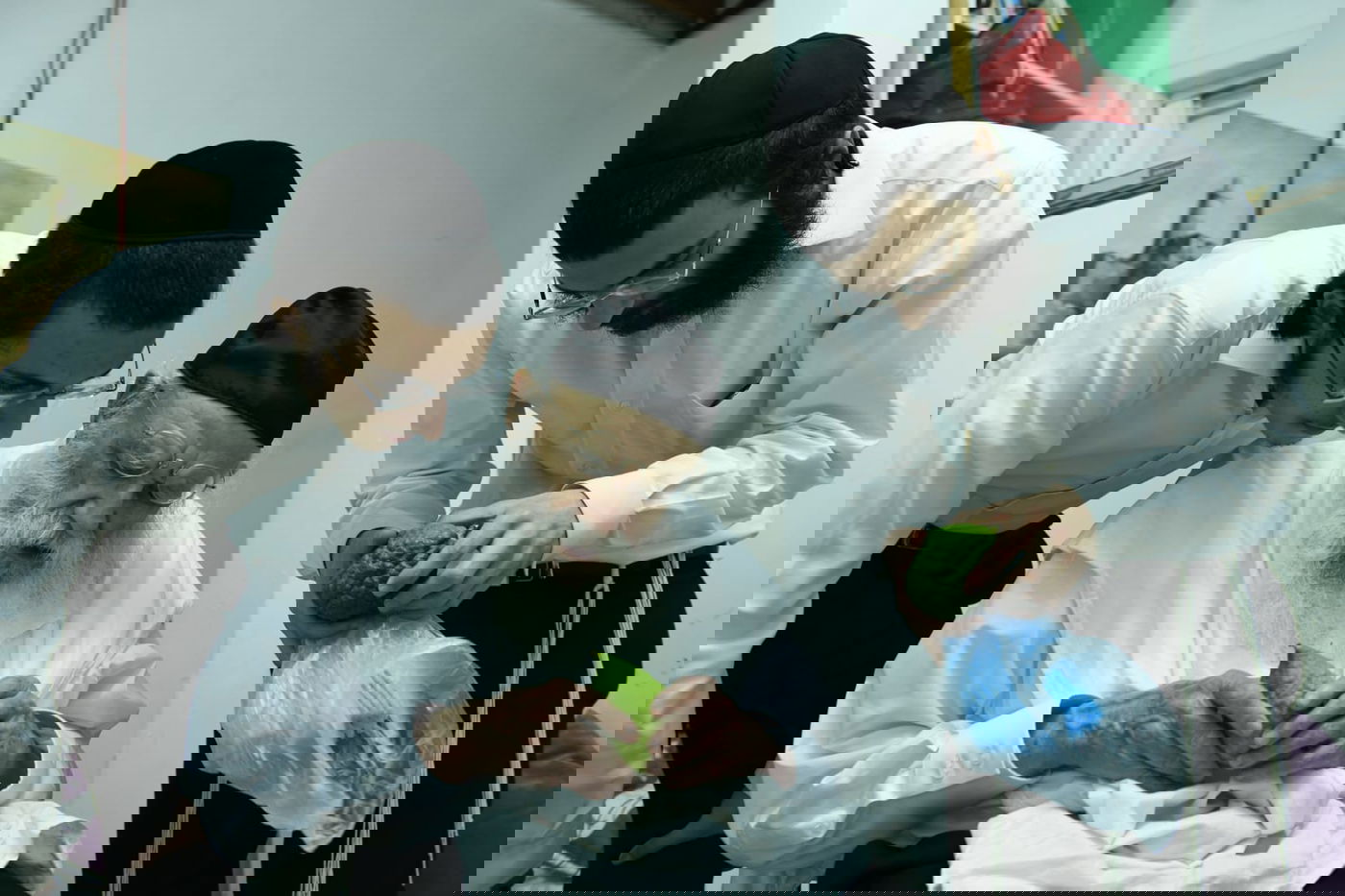 לימוד במיטה: הגאון רבי מאיר גריינמן בהושענא רבא