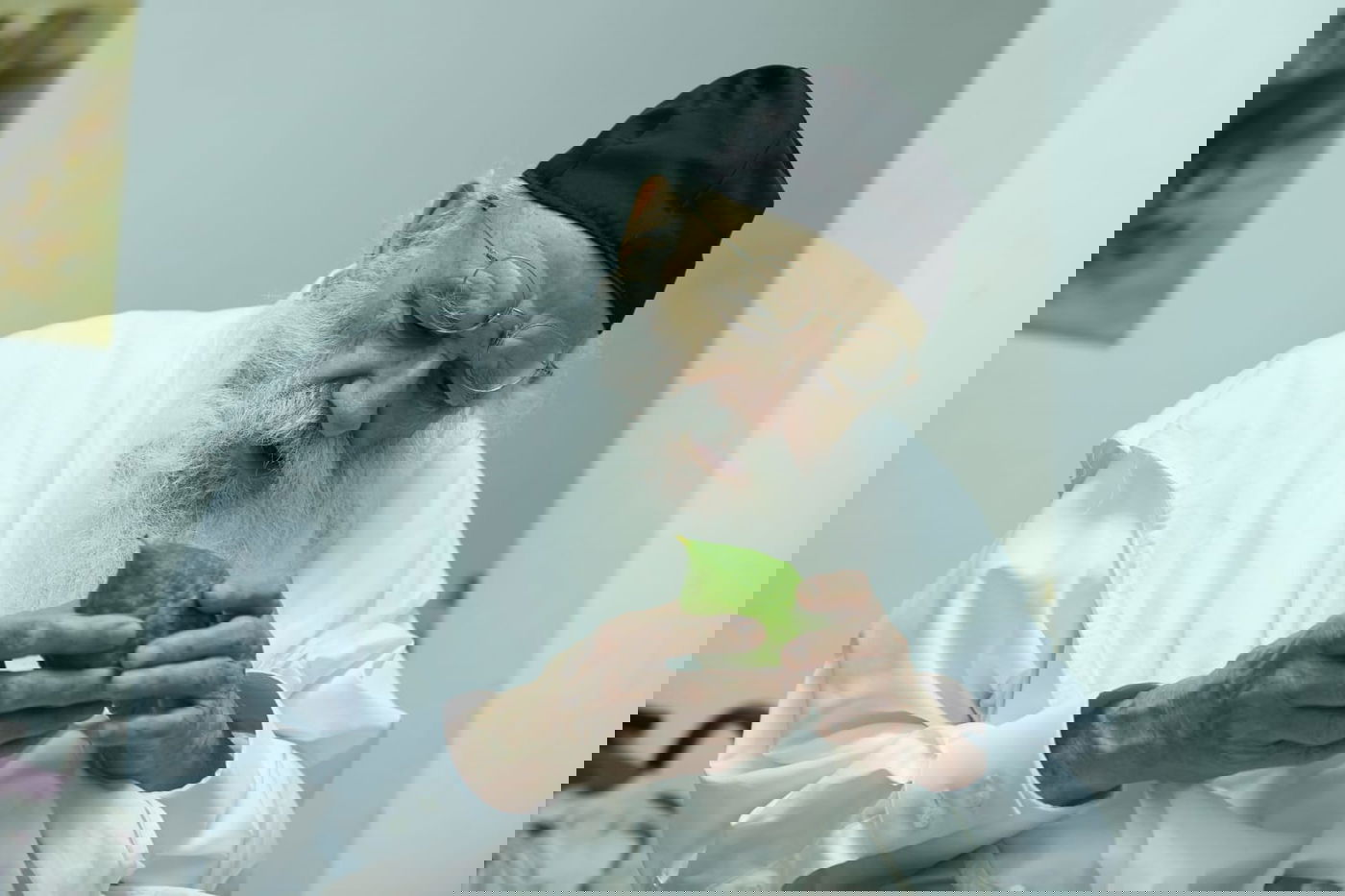 לימוד במיטה: הגאון רבי מאיר גריינמן בהושענא רבא