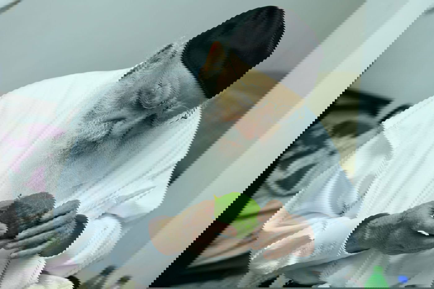 לימוד במיטה: הגאון רבי מאיר גריינמן בהושענא רבא