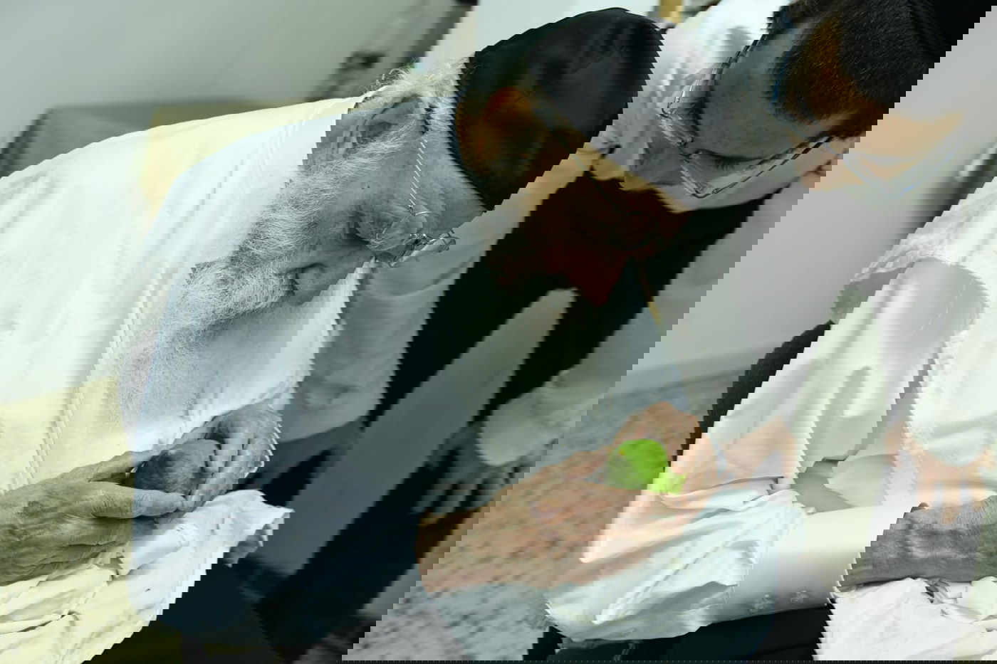 לימוד במיטה: הגאון רבי מאיר גריינמן בהושענא רבא