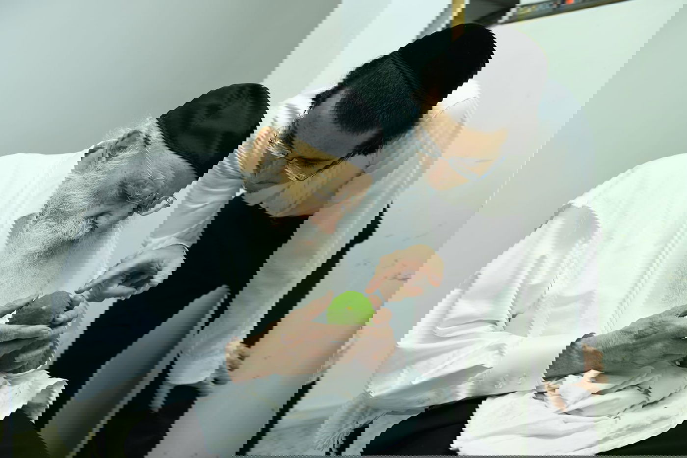 לימוד במיטה: הגאון רבי מאיר גריינמן בהושענא רבא