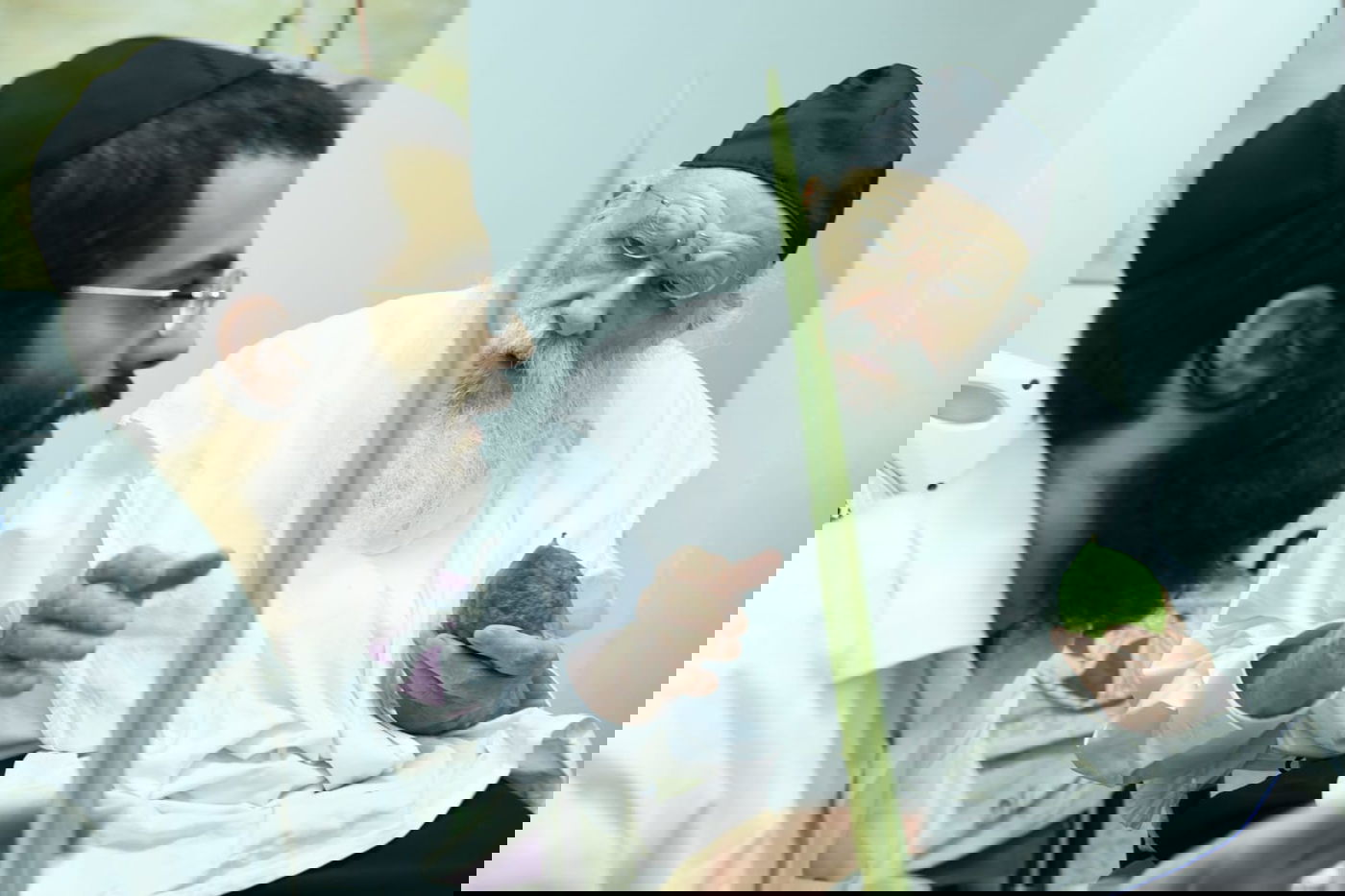 לימוד במיטה: הגאון רבי מאיר גריינמן בהושענא רבא