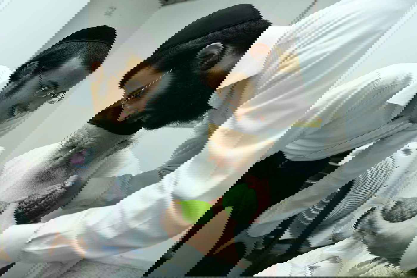 לימוד במיטה: הגאון רבי מאיר גריינמן בהושענא רבא