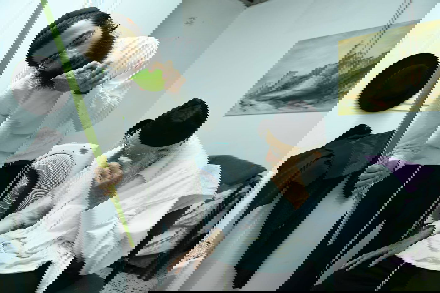 לימוד במיטה: הגאון רבי מאיר גריינמן בהושענא רבא