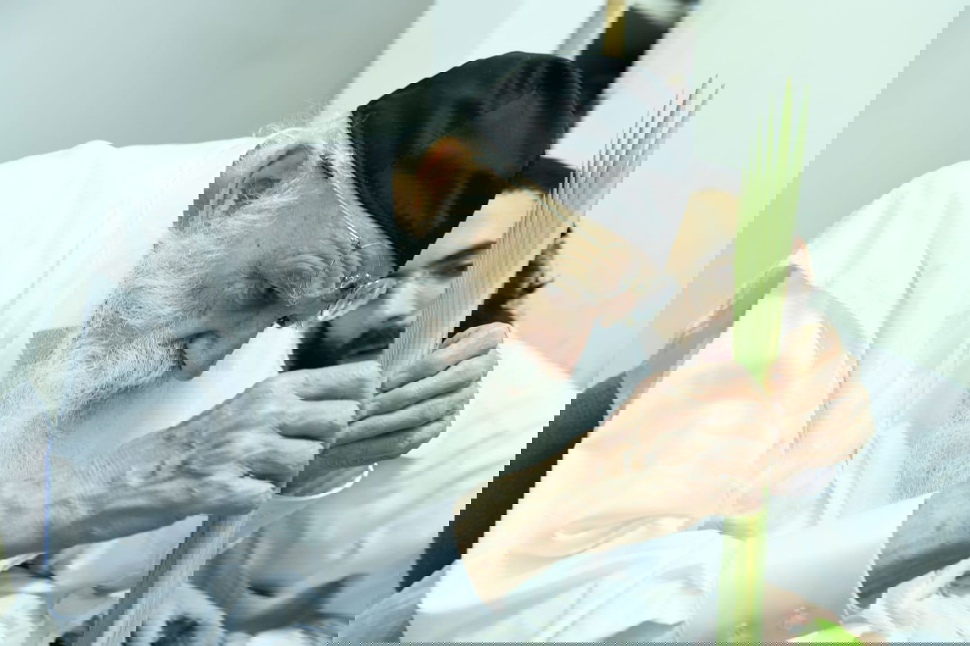 לימוד במיטה: הגאון רבי מאיר גריינמן בהושענא רבא