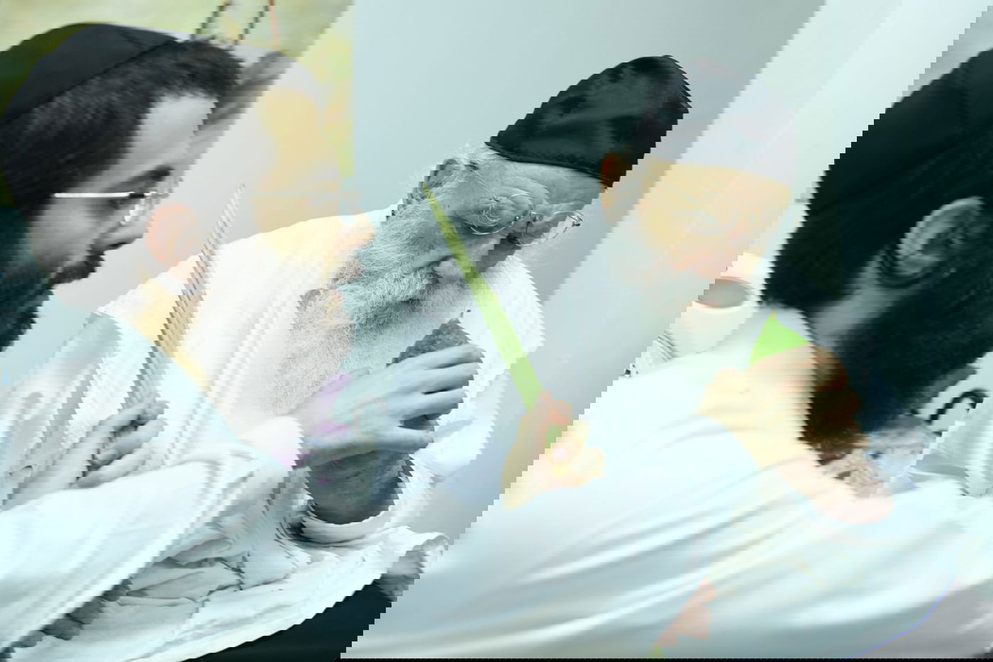 לימוד במיטה: הגאון רבי מאיר גריינמן בהושענא רבא