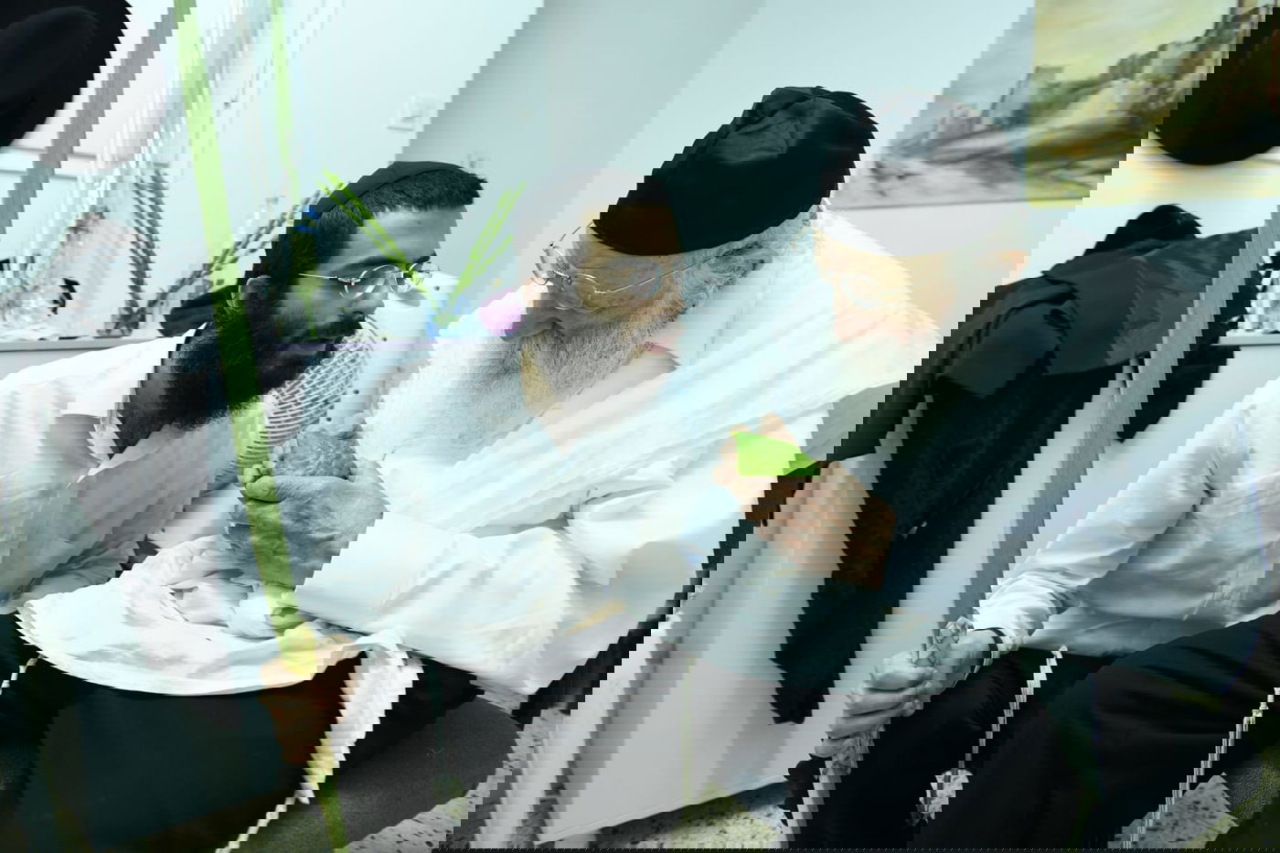 לימוד במיטה: הגאון רבי מאיר גריינמן בהושענא רבא