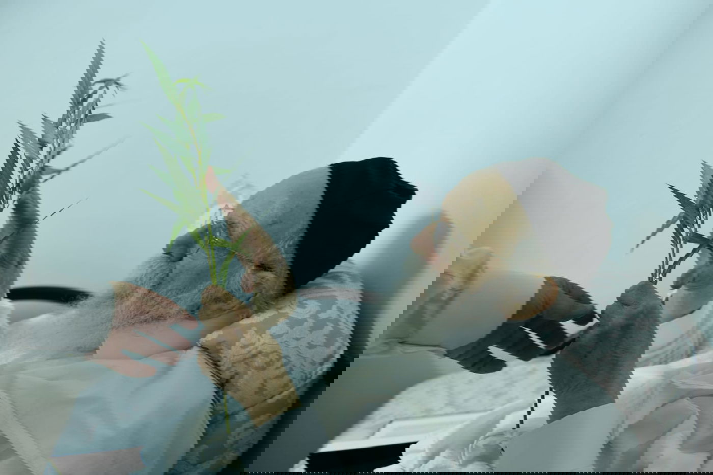 לימוד במיטה: הגאון רבי מאיר גריינמן בהושענא רבא