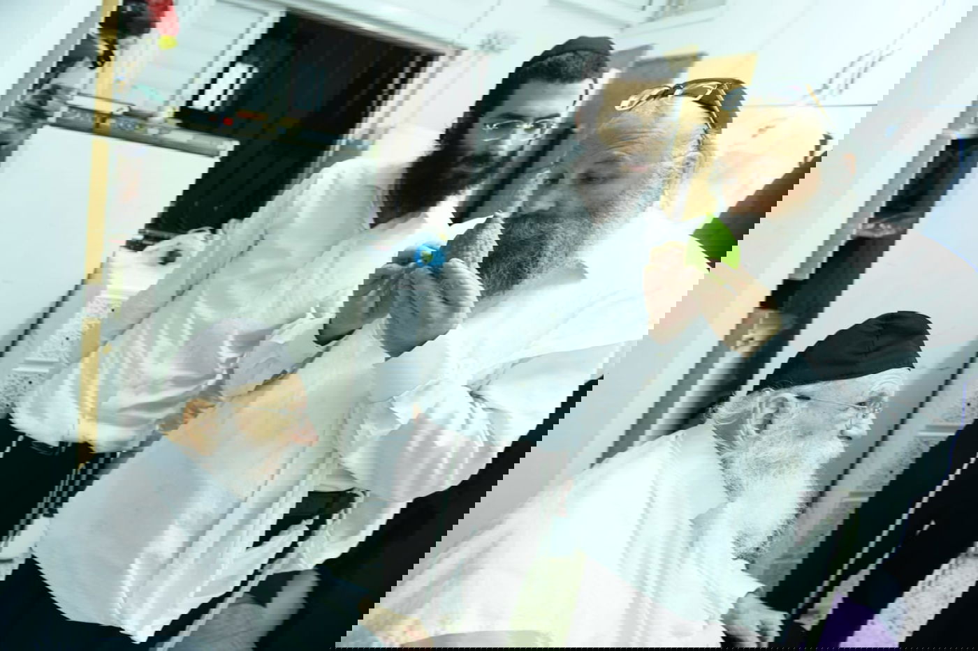 לימוד במיטה: הגאון רבי מאיר גריינמן בהושענא רבא