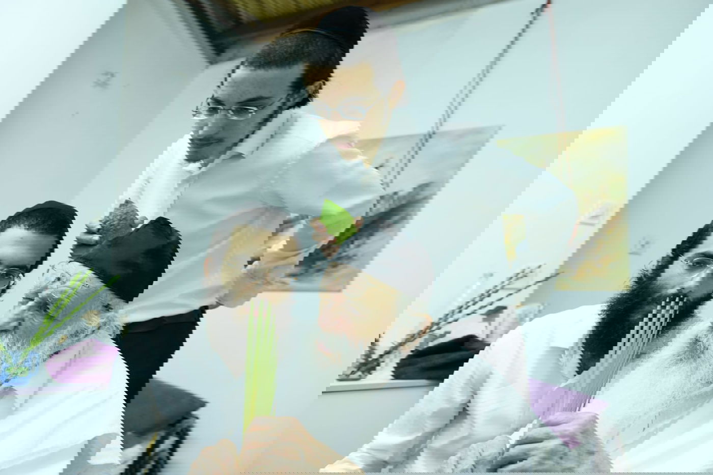 לימוד במיטה: הגאון רבי מאיר גריינמן בהושענא רבא