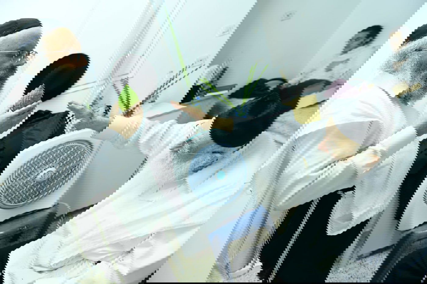 לימוד במיטה: הגאון רבי מאיר גריינמן בהושענא רבא