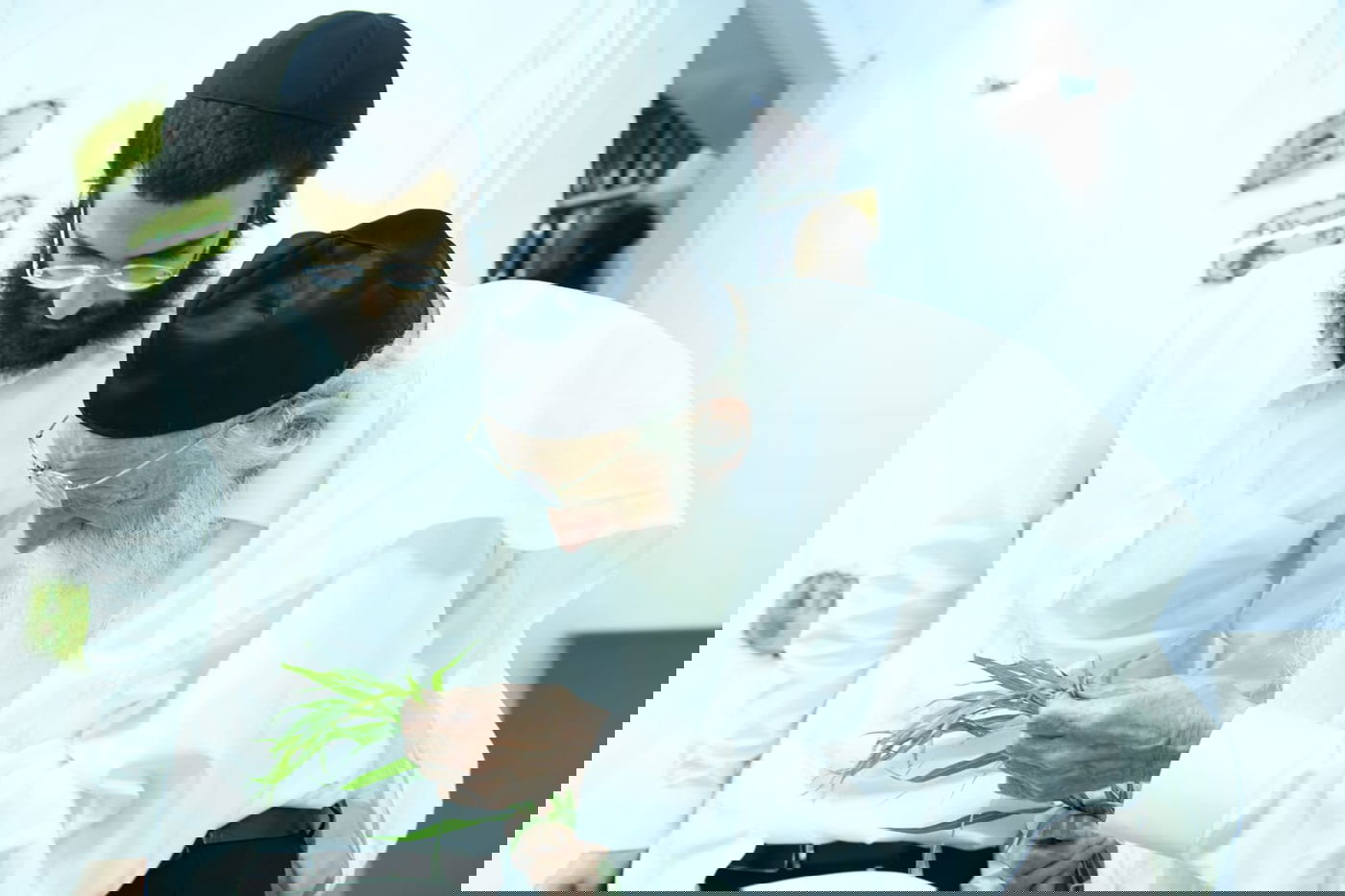 לימוד במיטה: הגאון רבי מאיר גריינמן בהושענא רבא