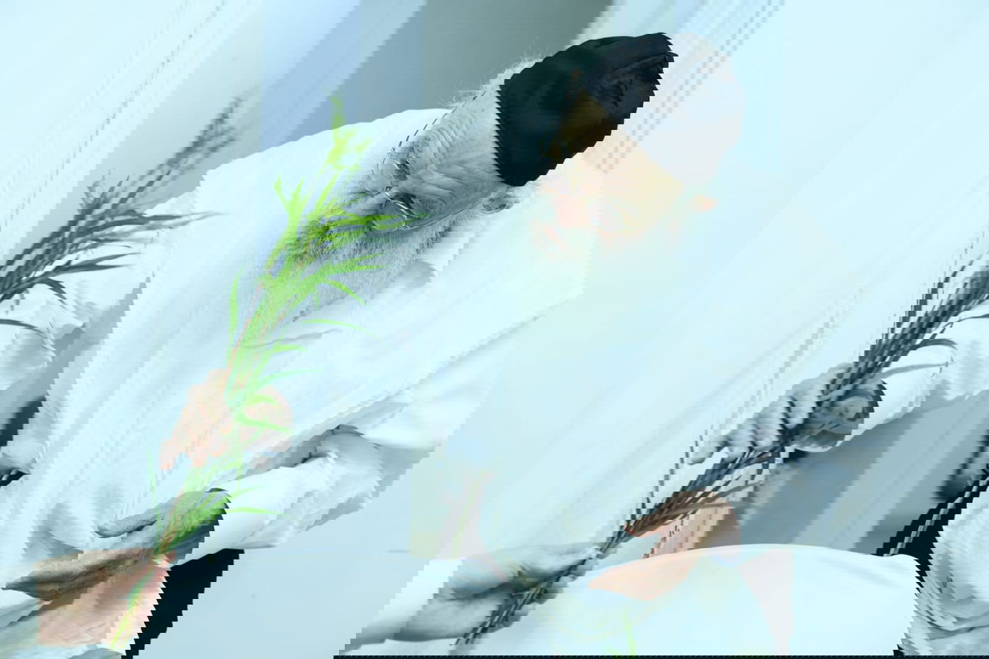 לימוד במיטה: הגאון רבי מאיר גריינמן בהושענא רבא