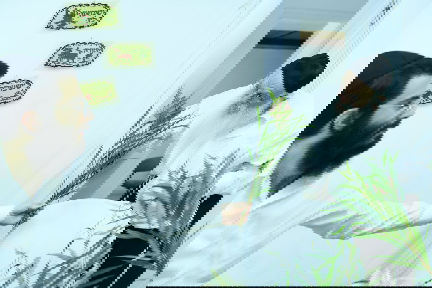 לימוד במיטה: הגאון רבי מאיר גריינמן בהושענא רבא