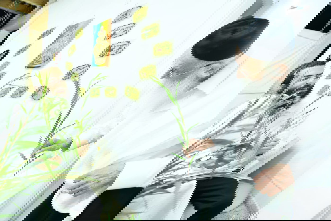 לימוד במיטה: הגאון רבי מאיר גריינמן בהושענא רבא