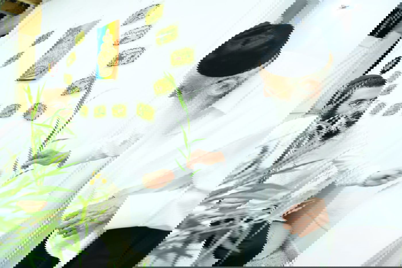 לימוד במיטה: הגאון רבי מאיר גריינמן בהושענא רבא