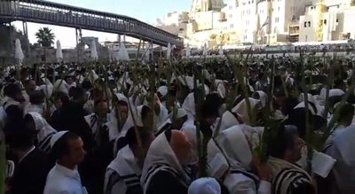 המונים בתפילת ותיקין בכותל המערבי • צפו