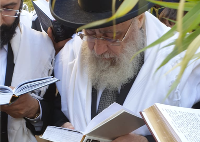 חבטת הערבה ו'נשמת' עם הראשון לציון הגר"י יוסף