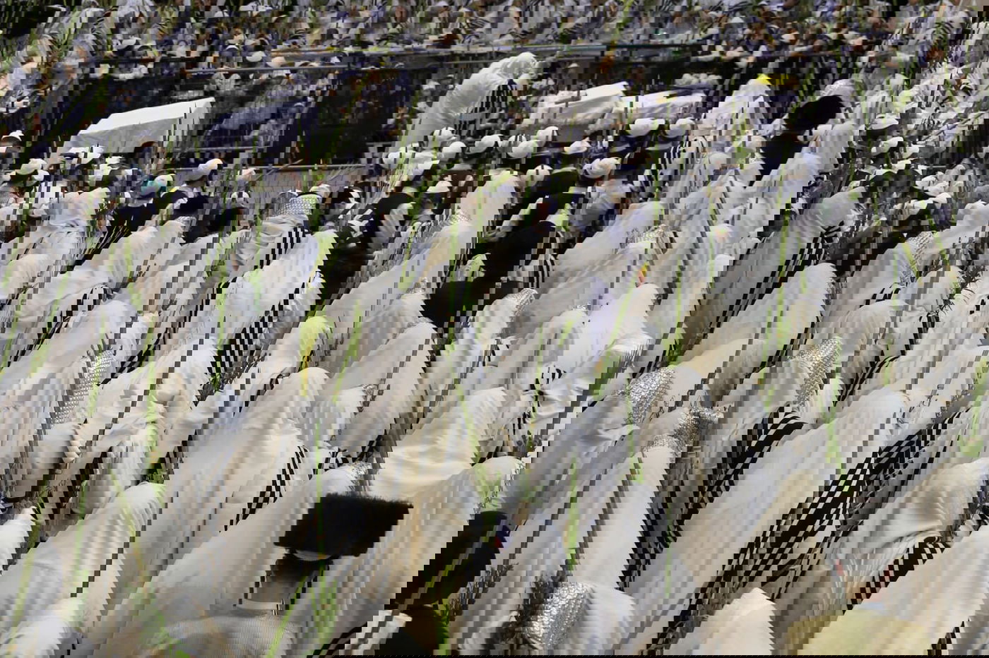 'הושענא רבה' בחסידות תולדות אהרן • צפו