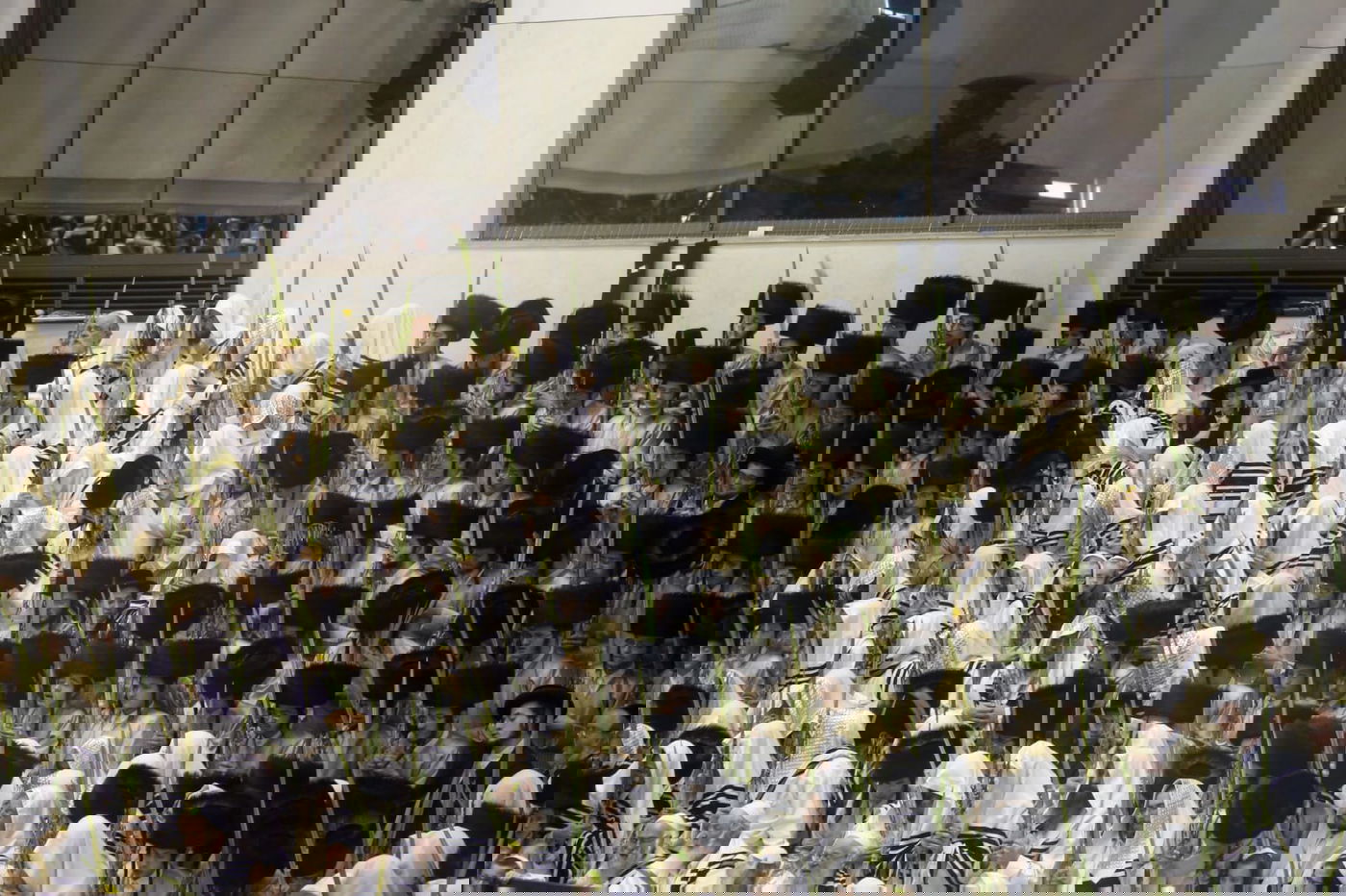 'הושענא רבה' בחסידות תולדות אהרן • צפו