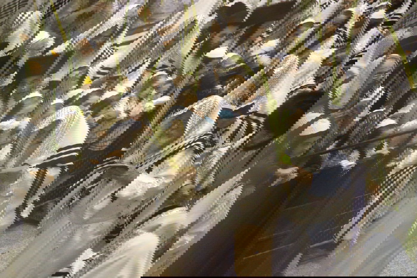 'הושענא רבה' בחסידות תולדות אהרן • צפו