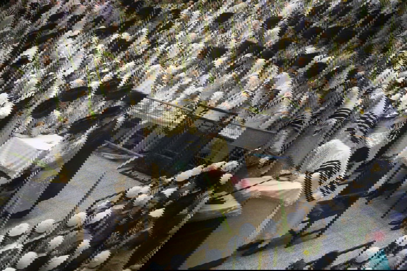 'הושענא רבה' בחסידות תולדות אהרן • צפו