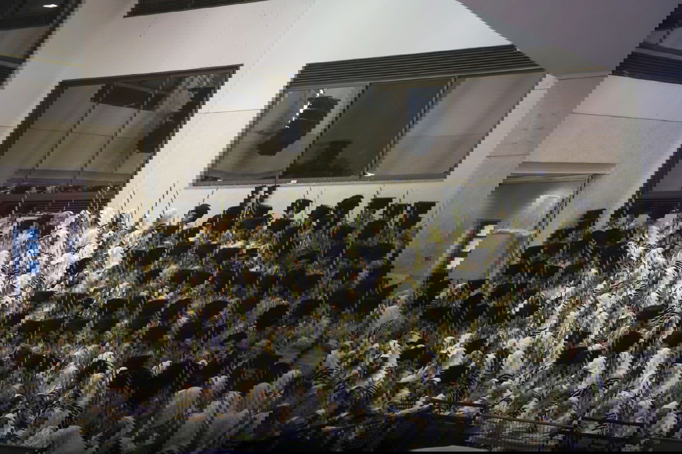 'הושענא רבה' בחסידות תולדות אהרן • צפו