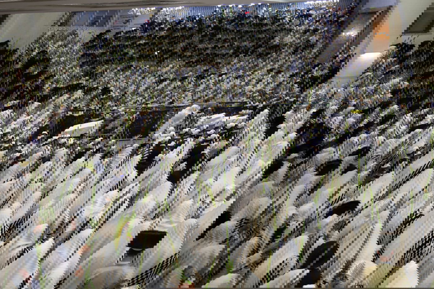 'הושענא רבה' בחסידות תולדות אהרן • צפו