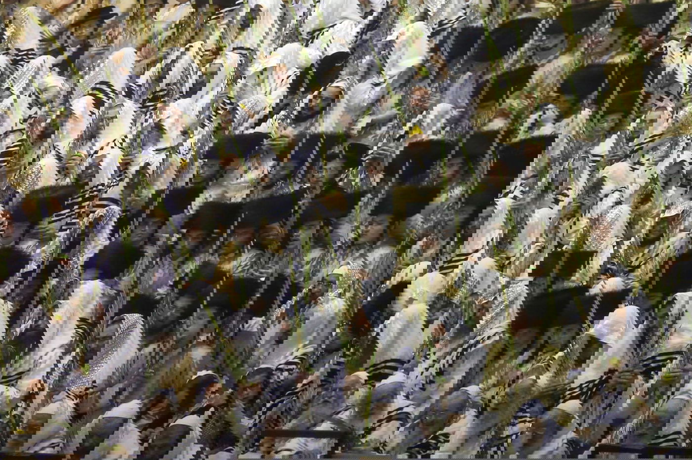 'הושענא רבה' בחסידות תולדות אהרן • צפו