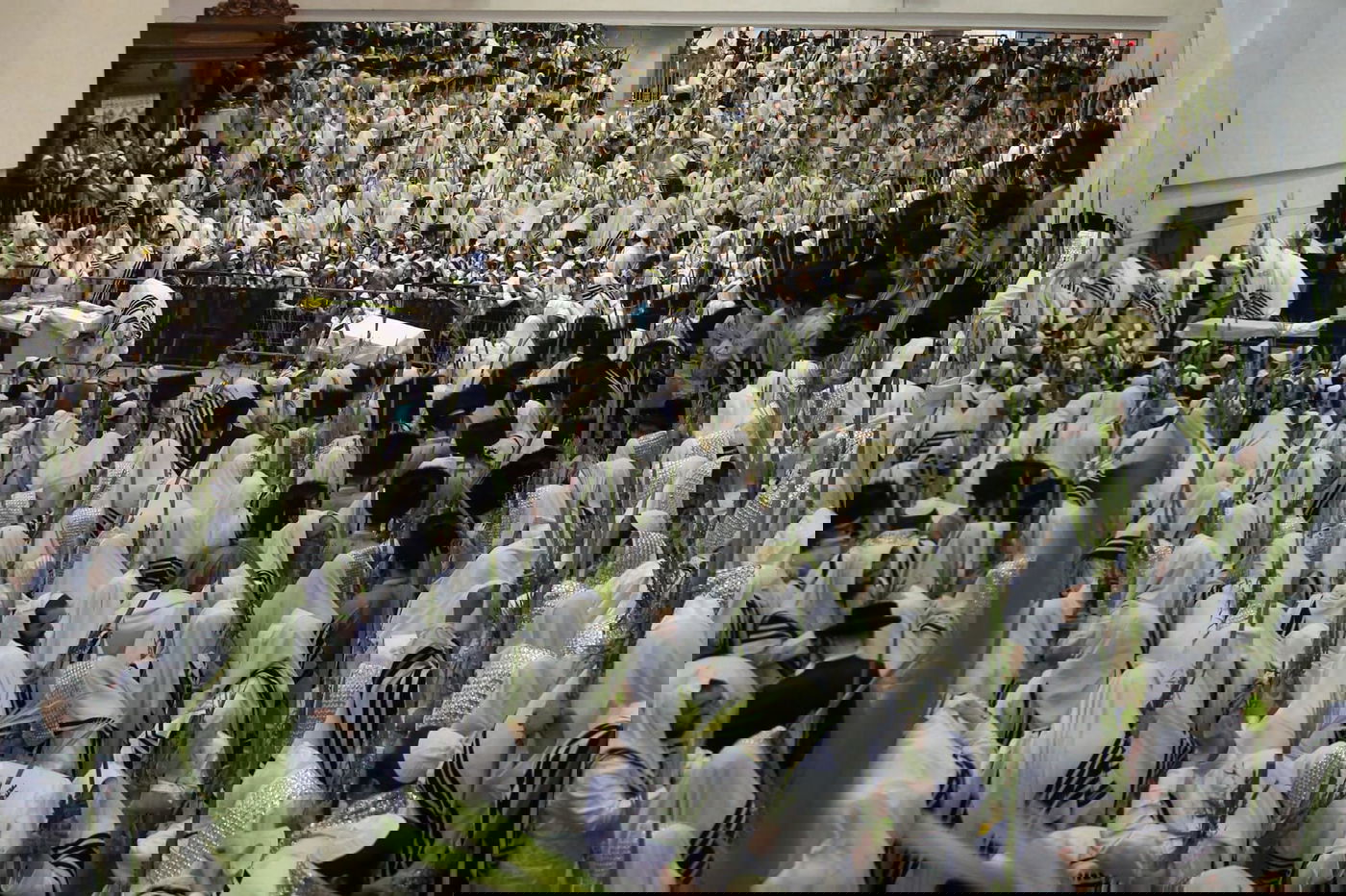 'הושענא רבה' בחסידות תולדות אהרן • צפו