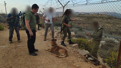 חיילים, כלבים ורחפנים: חשש לחדירת מחבלים לכפר תפוח
