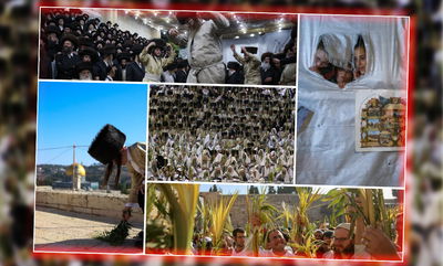 עשר התמונות שמסכמות את 'חג הסוכות' • צפו