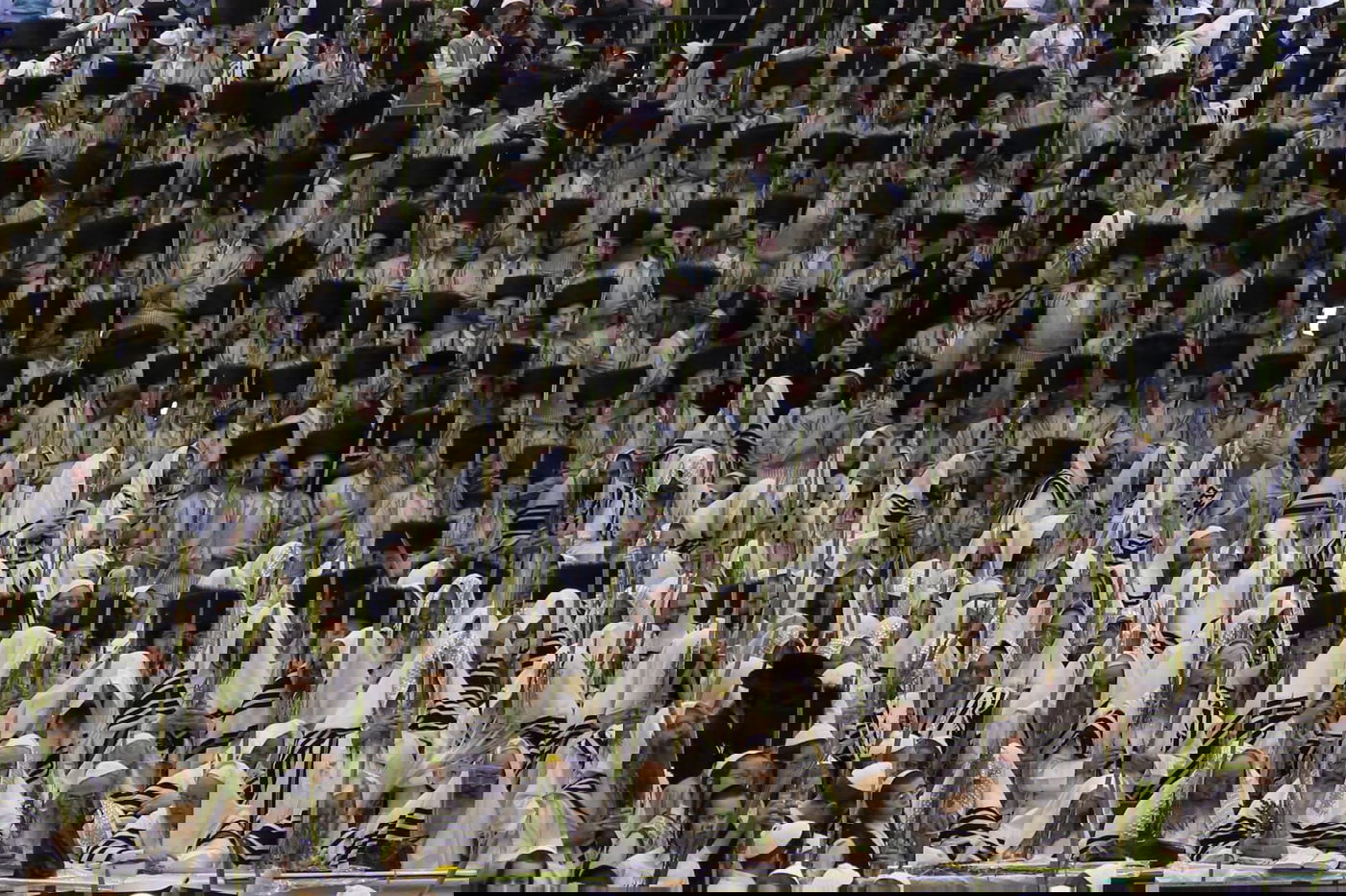 עשר התמונות שמסכמות את 'חג הסוכות' • צפו