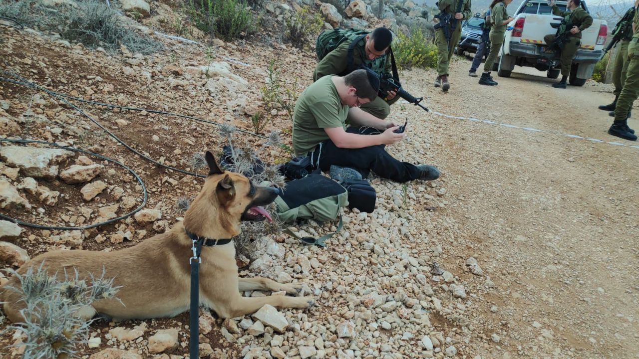 חיילים, כלבים ורחפנים: חשש לחדירת מחבלים לכפר תפוח