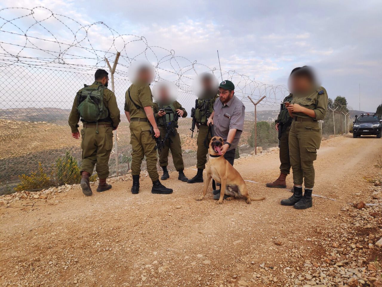 חיילים, כלבים ורחפנים: חשש לחדירת מחבלים לכפר תפוח