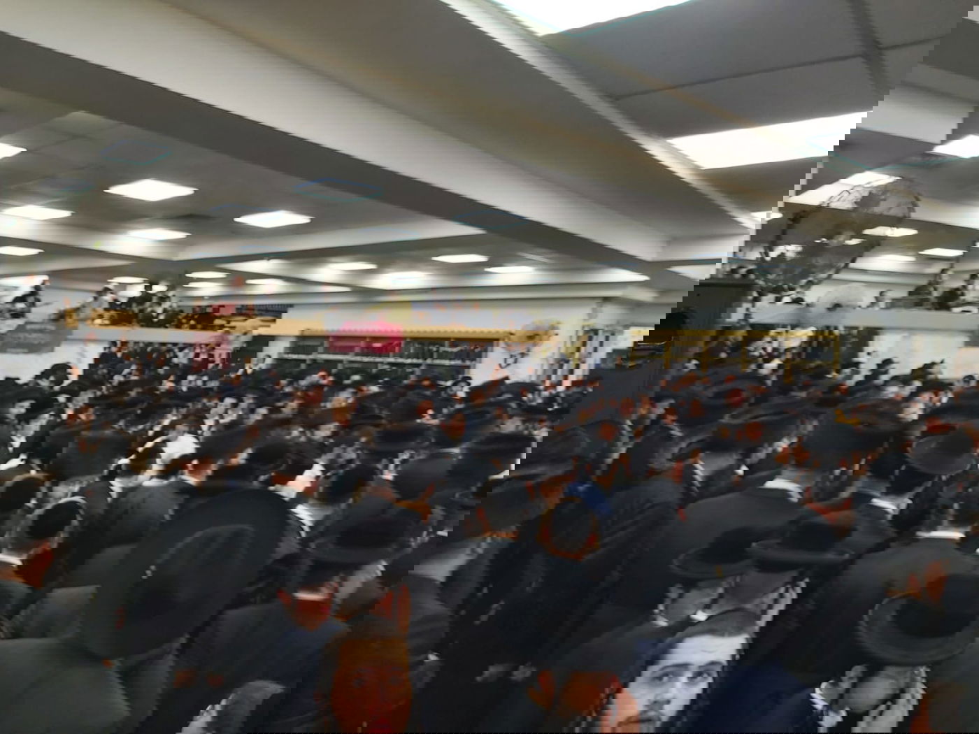 צפו: ריקוד ה'שורות' בקהילת המתמידים